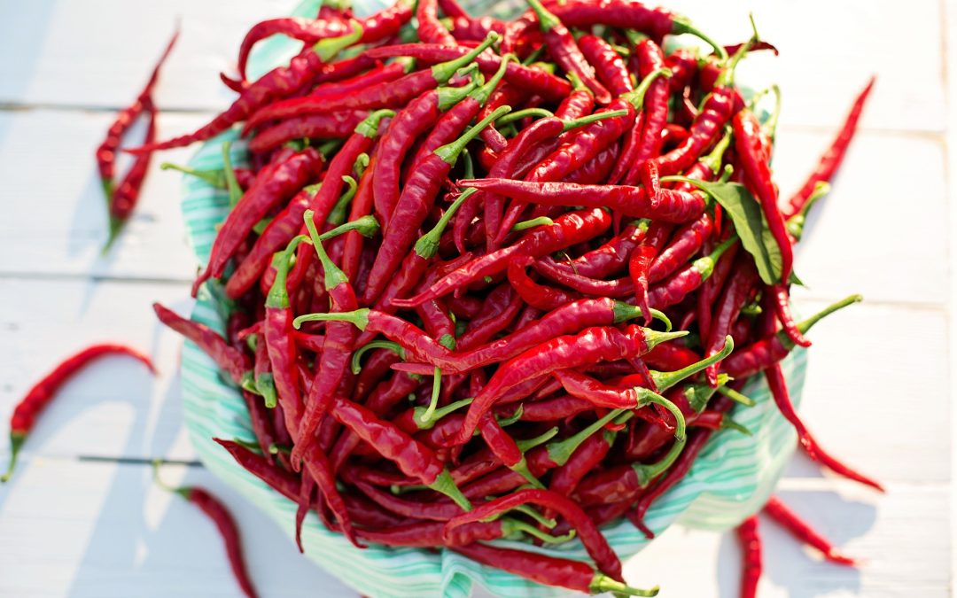 Cayenne bors