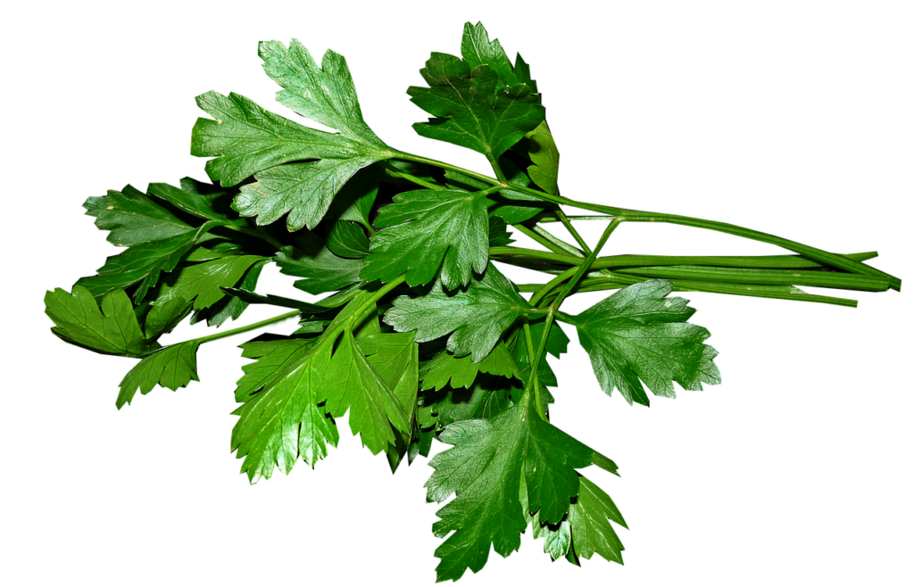 Petrezselyem