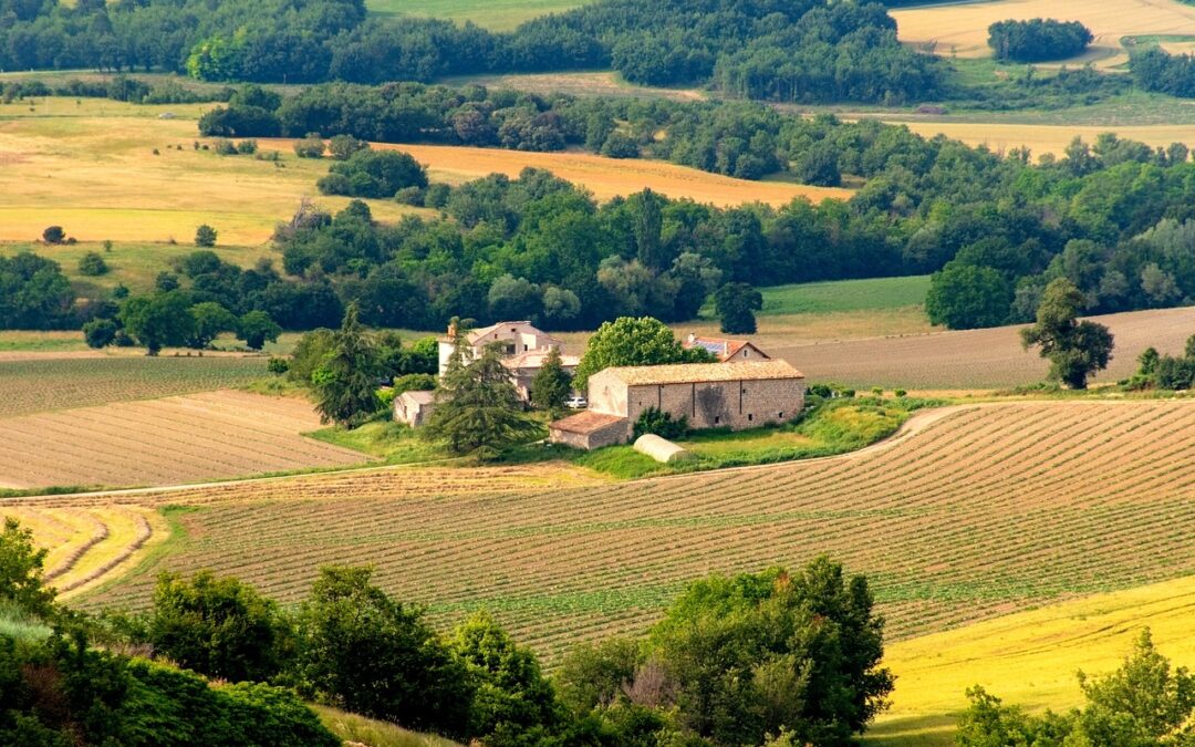 Provence fűszerkeverék