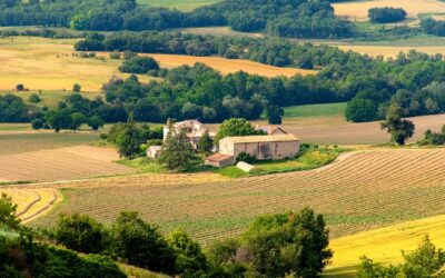 Provence fűszerkeverék